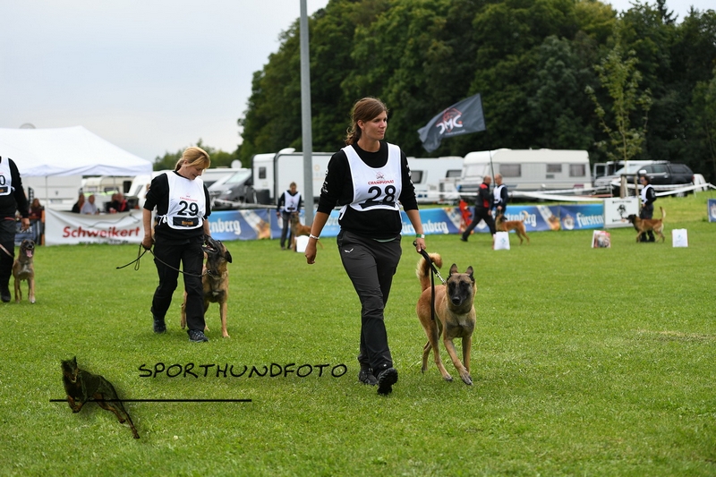 Impressionen 681.jpg